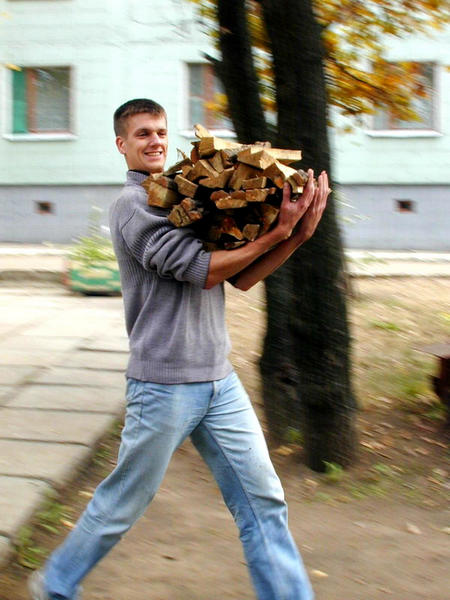 МЗ и дрова
(хронология нарушена)